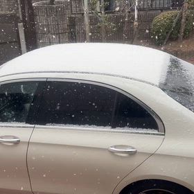雪の画像