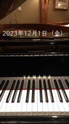 2023年12月1日（金）の記事動画