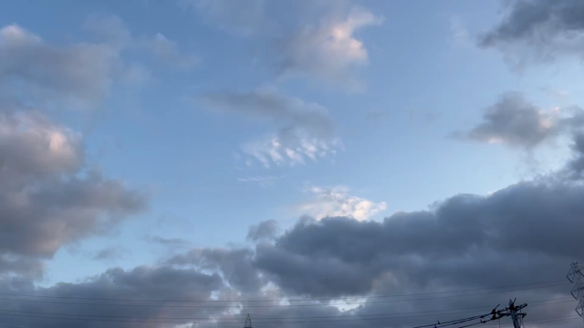 陰と陽の調和の記事動画