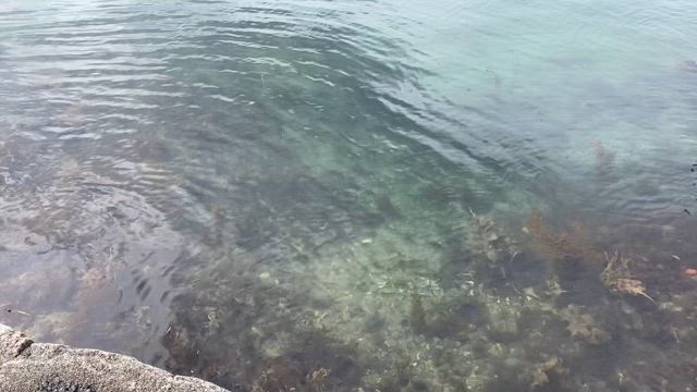 願い事をひとつだけ叶えてくれるパワースポットへの記事動画
