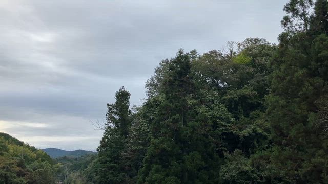 明日はお休みの記事動画