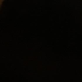 京都にいて　パリに想い馳せるの画像