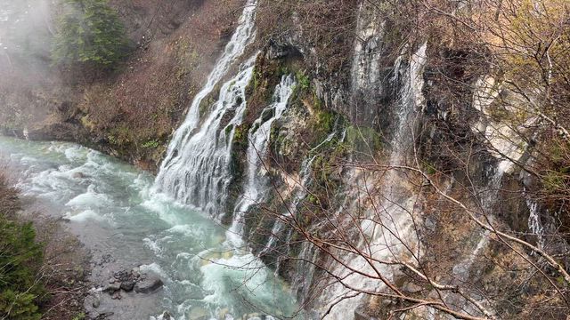 憧れの富良野への記事動画
