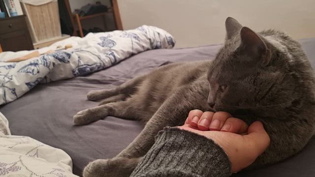 Loveの記事動画