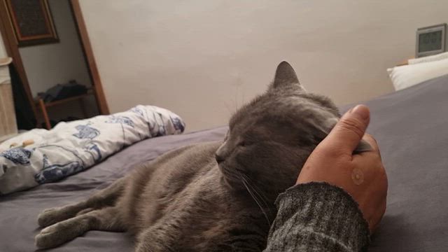 Loveの記事動画