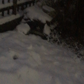 雪ジローの話。の画像