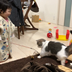 最近のみりんちゃんです。の画像