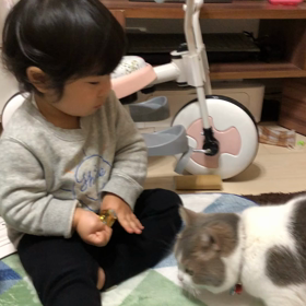 今日のにゃんこの画像