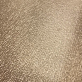 甘えん坊でかわいいポメプーちゃんの画像
