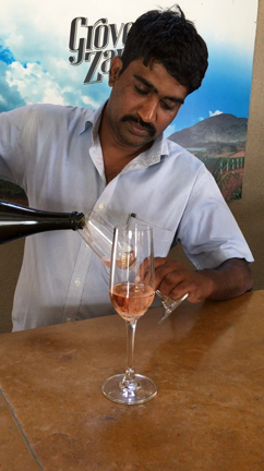 インド旅行2018⑩インドワイン「Grover Zampa vineyards」ワイナリーツアーの記事動画