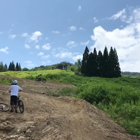 ブリブリの画像