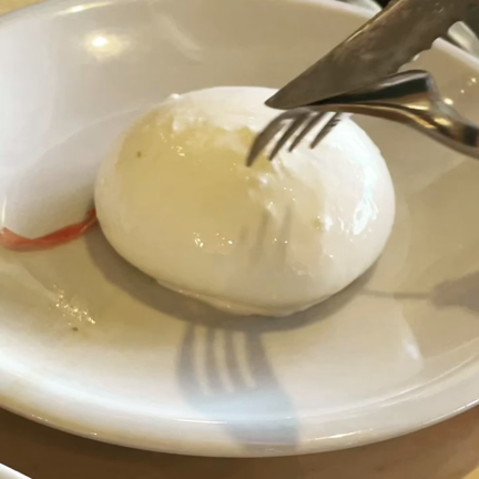 念願のブッラータの記事動画