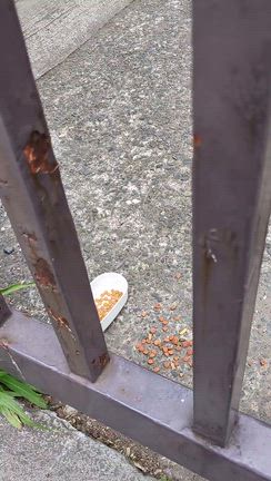 仲直りしたんだけど。の記事動画