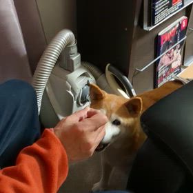 2025/01/12の画像