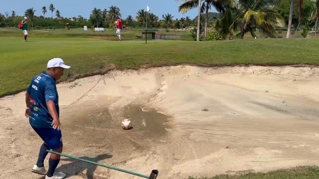 2日目の記事動画