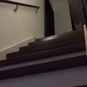 【今日のネコ】の画像