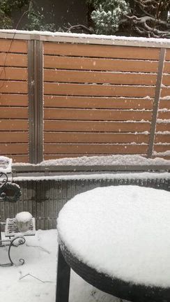 雪！！！の記事動画