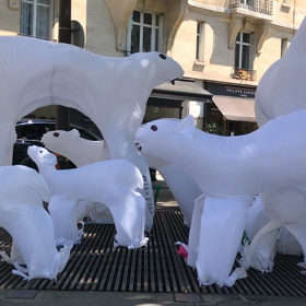ぷるぷるシロクマの画像
