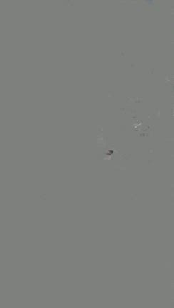 中日☆の記事動画