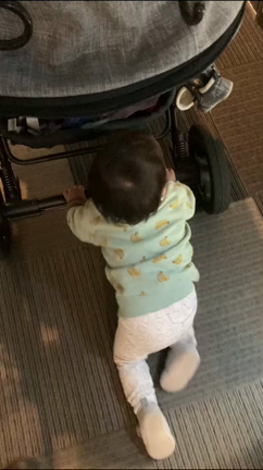 ただ押したくての記事動画