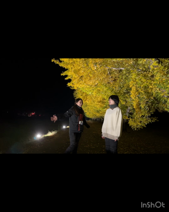 バイクで長野県でイチョウ並木ライトアップを見に行ったらの記事動画