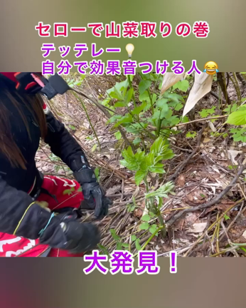 林道ツーリング。セローで山菜ライダーの記事動画