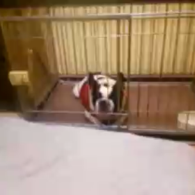 ええ～！の画像
