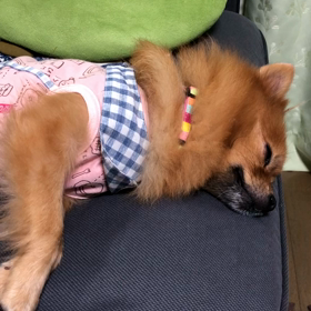 薬の飲み忘れで。の画像