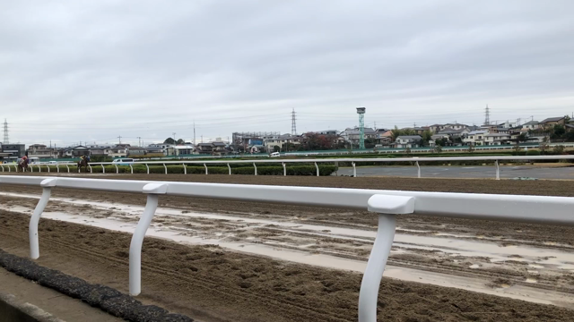 師走！！の記事動画