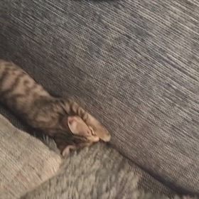 2024/08/19の画像