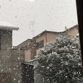 雪の非日常の画像