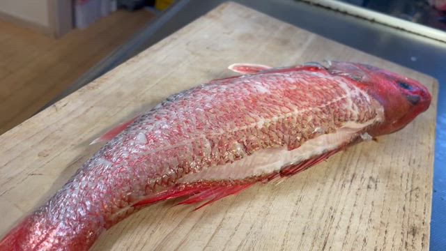 240128 ノドグロの恵方巻きを作ろうかとの記事動画