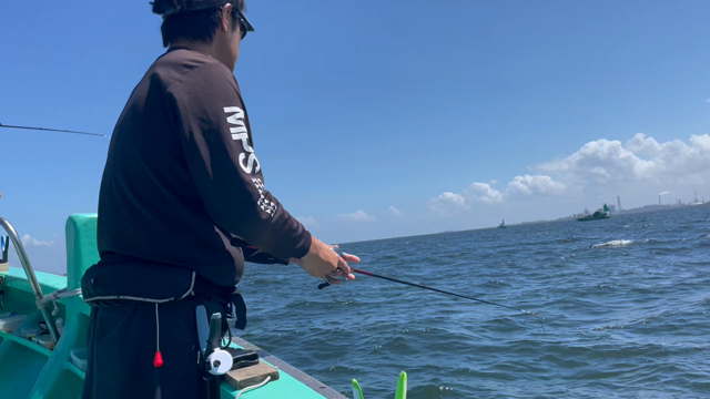 230811 キハダ中止からの湾フグ ショウサイフグ　の記事動画