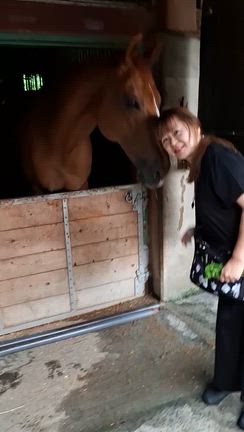 7/2　雨が降っていましたが　馬友のОさんとランチのお約束馬たちに生牧草とニンジンの葉をプの記事動画