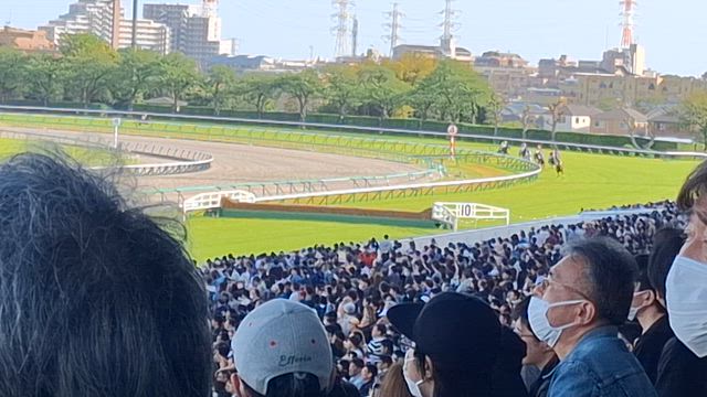 4/18 #中山グランドジャンプ　 J･GⅠ　レースの記事動画