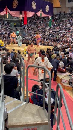 大相撲九州場所の記事動画
