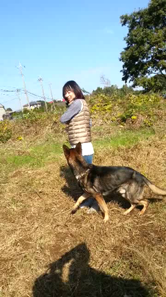 延期とワンちゃんの記事動画