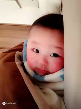 秀架～(*・∀・*)ノの記事動画