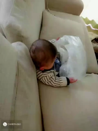 がしょうきの記事動画