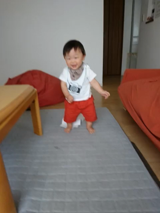 孫が可愛すぎて困ってますの記事動画