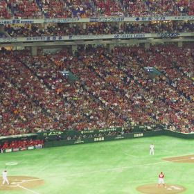鈴木誠也と東京ドームの画像