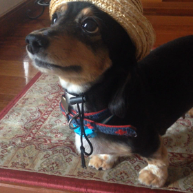 アバンチュールの画像