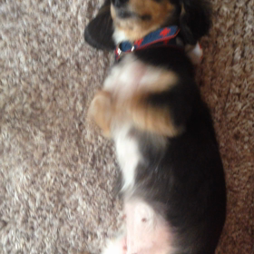 １００万ドルの男の画像