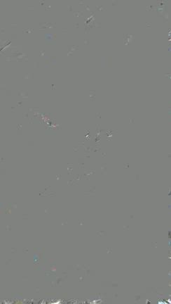 ハノイの市場～クッキング体験の記事動画