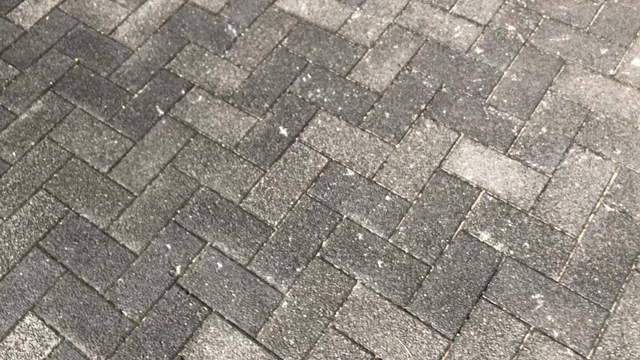 11月の交換日記（From maiiiiiiiiiiiiiの記事動画