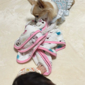 れおvs息子の画像