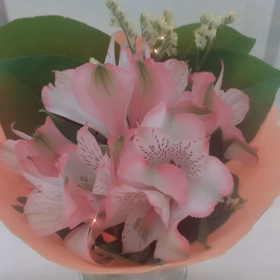 お花の画像