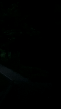ホタルはじめ。の記事動画
