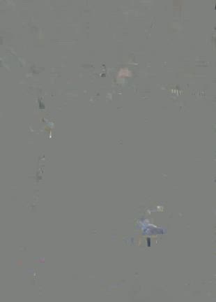 姪ちゃんのセブ土産の記事動画