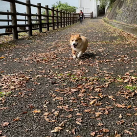 友達追いかけるうりの画像